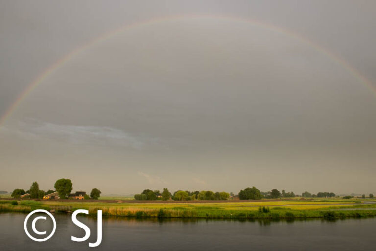 Read more about the article Gewoon mooi